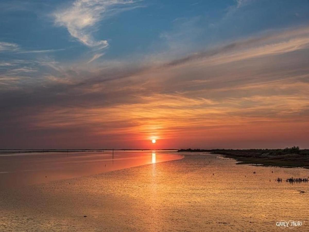 Au Coeur Du Bassin D'Arcachon,Tres Bel Appartement Avec Terrasse Audenge Exterior foto